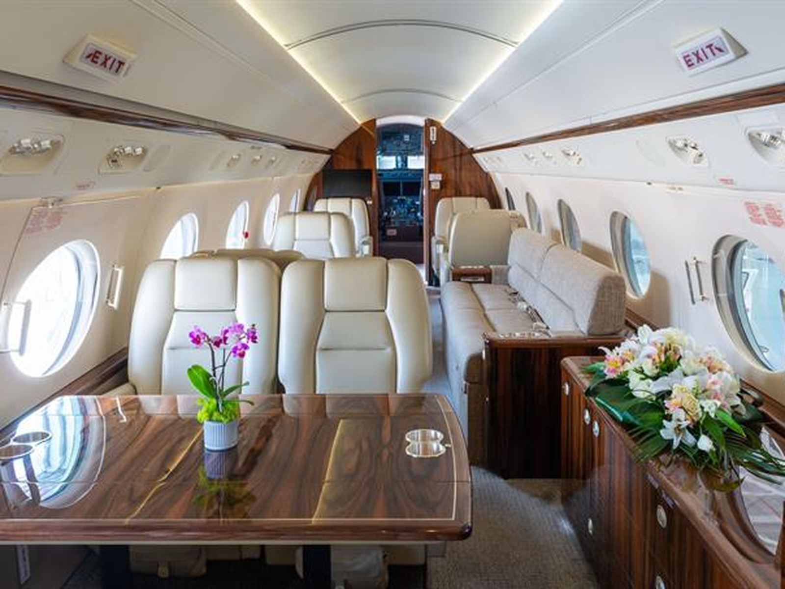 Private jet interior photo